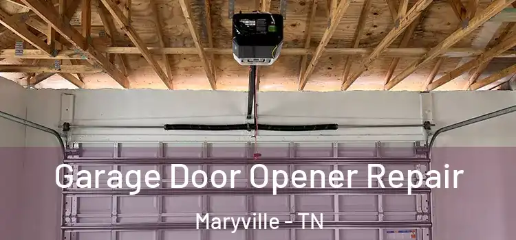  Garage Door Opener Repair Maryville - TN
