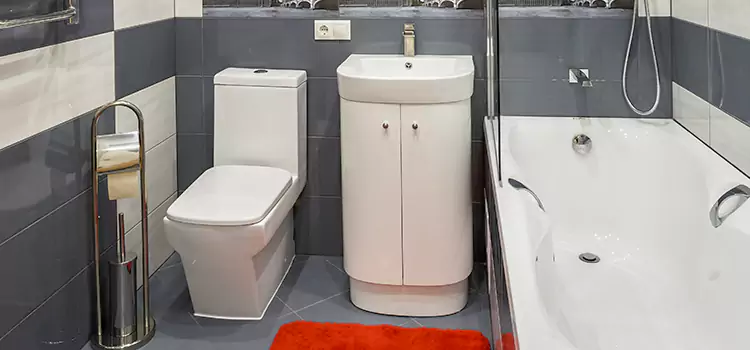 Hansgrohe Shaving Mirror Maryville