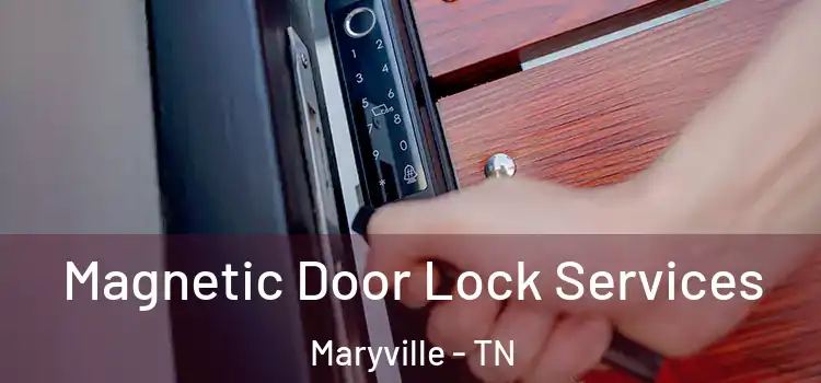 Magnetic Door Lock Services Maryville - TN